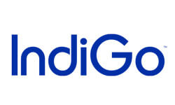 14-indigo[1]